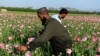 عکس ارشیف