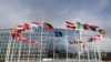 Дипломати країн НАТО координують позиції щодо Росії перед тижнем переговорів