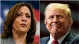 АКШдагы шайлоо: Трампка ким атаандаш болот? 