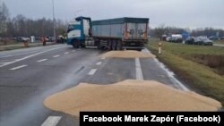 Розсипане учасниками блокування кордону з Україною зерно. Польща, поблизу пункту пропуску «Дорогуськ-Ягодин». 11 лютого 2024 року