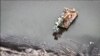 GRAB - Revealed: How Ukraine Blew A Dam To Save Kyiv