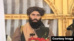 محمد داود مُزَمِّل، والی طالبان در ولایت بلخ افغانستان