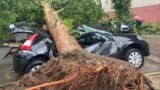 Posledice nevremena u Beogradu