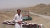 انځور سایز
