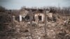 Одна людина загинула, троє поранені на Сумщині через російські обстріли – ОВА