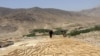 په کندهار کې د فصل ټولولو دا عکس د ۲۰۲۳ م کال دی.