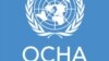 ОН: Половина милион Авганистанци го напуштија Пакистан