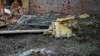 Ракетний обстріл військами РФ Харкова – влада повідомила про 3 влучання