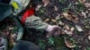 Росія втратила понад 2000 своїх військових за останні чотири доби – Генштаб ЗСУ