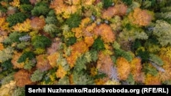 Температура вночі 0-5° тепла, вдень 6-11°