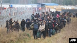 Hiljade migranata zarobljeni su na niskim temperaturama na poljsko-beloruskoj granici