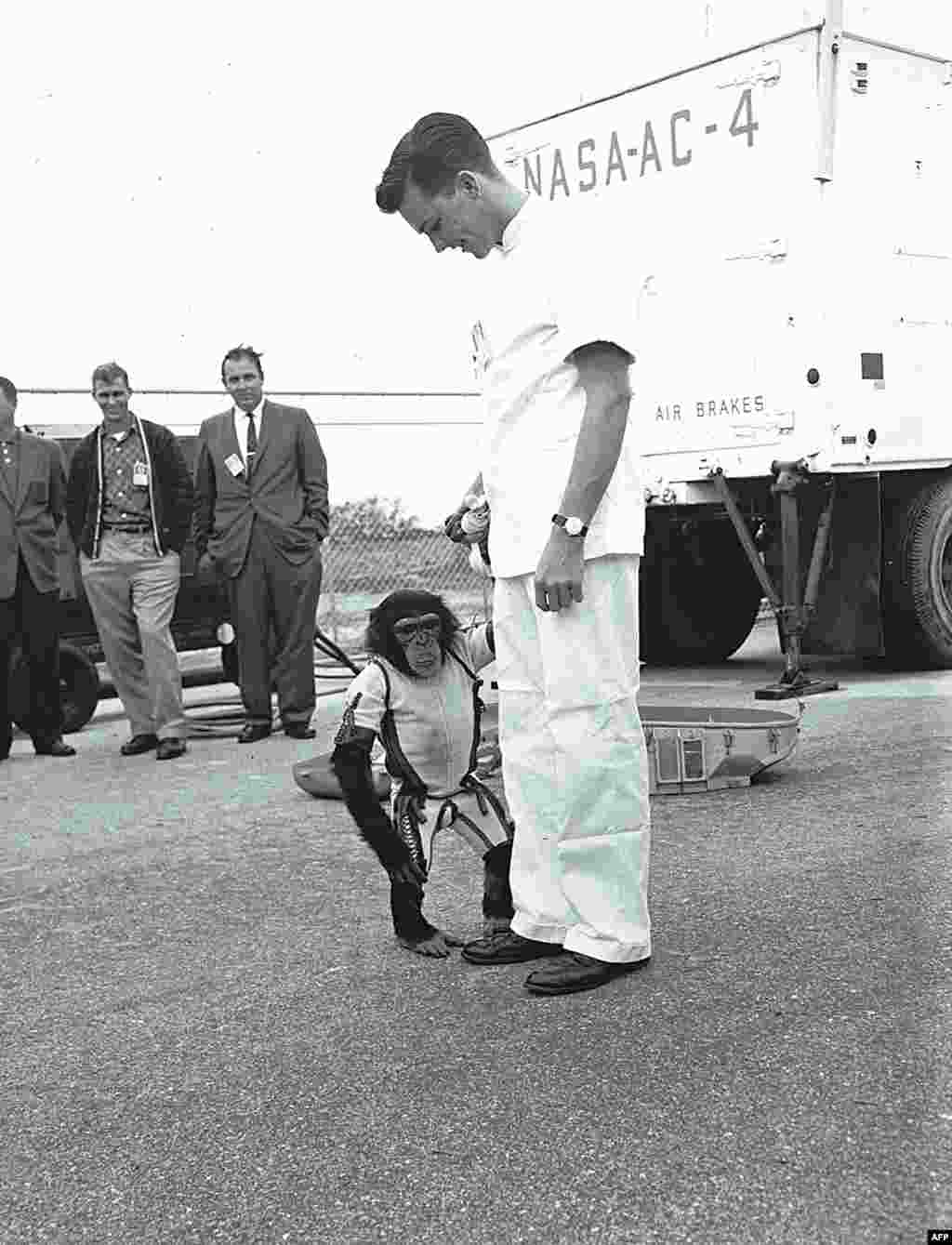 U.S. astronaut Alan Shepard is photographed with Ham, a chimpanzee who preceded him in space, with a 16 minute sub-orbital flight aboard the "Mercury Redstone" rocket in 1961.