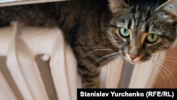 Щодо житлових будинків – влада орієнтуватиметься на погодні умови