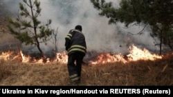 Лісова пожежа у зоні відчуження навколо Чорнобильської АЕС. Фотографію оприлюднила Державна служба України з надзвичайних ситуацій 17 квітня 2020 року