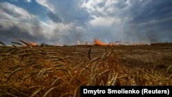 Біля лінії фронту на адміністративній межі між Запорізькою і Донецькою областями палає пшеничне поле, липень 2022 року