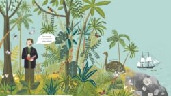 Илюстрация от книгата на Сабина Радева