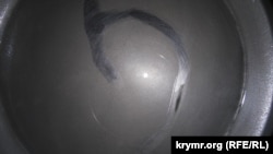 Налет на дне чайника после кипячения воды, Керчь