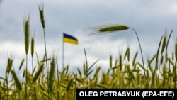 The recent deal between Russia and Ukraine, brokered by Turkey and the United Nations, clears the way for millions of tons of grain and fertilizers to be shipped as many parts of the world teeter on the brink of a major food crisis.