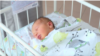 Лани повеќе починати отколку родени