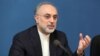 «مجارستان اجازه عبور به هواپیمای علی اکبر صالحی نداد»