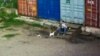 Забойцу катá з Горадні прысудзілі два месяцы арышту