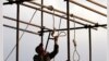 UN Condemns Iran On Rights
