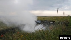 Фотографія із місця падіння літака в Донецькій області, 17 липня 2019 року
