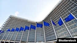 Comisia Europeană a avertizat România că produse din ferme aflate în focare de gripă aviară din Ungaria au pătruns în România