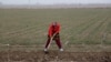 Farmers working small plots of land are worried about the reforms.