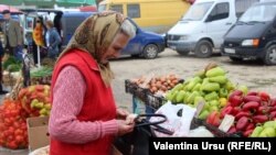 Agricultură de subzistență