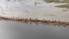 Жители сел в Северном Казахстане укрепляют дамбы: вода приблизилась к Петропавловску