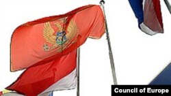 Zastava Crne Gore 