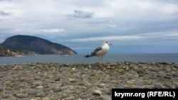 Крим, околиці Гурзуфа (Ілюстративне фото)