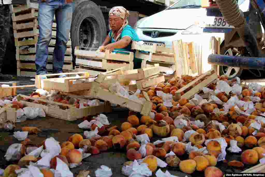 На "Дыйкан" стекается сельхозпродукция со всех областей Кыргызстана. Поставщикам не всегда удается сохранить товарный вид фруктов.