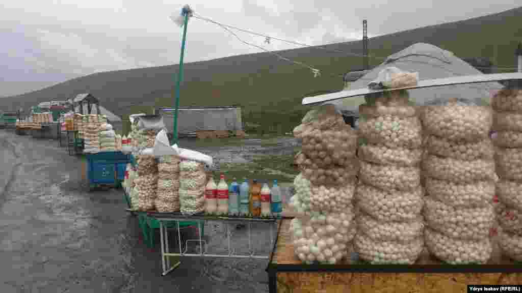 Бул жай акыркы эки жылда эле кадимки курут борборуна айланды. 