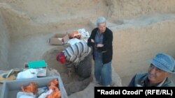 Археологи обнаружили в Фархоре останки двух людей, лежащих в одной могиле 