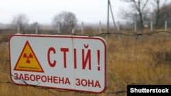 У службі нагадали, що займання сталося 11 вересня о 12:25 поблизу села Нові Соколи Іванківського району на території Димарського лісництва (фото ілюстративне)