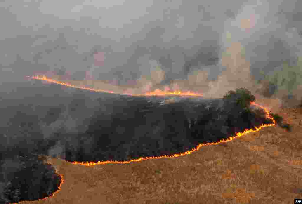 Srbija - Dubovo, 22. august 2012. Foto: AFP / Nebojša Marković