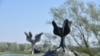 Spomen područje Jasenovac, april 2020. 