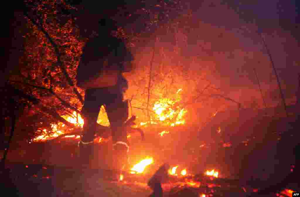Srbija - Dubovo, 22. august 2012. Foto: AFP / Nebojša Marković